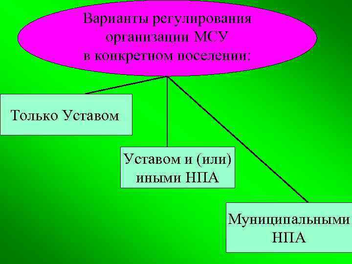  Варианты регулирования организации МСУ в конкретном поселении: Только Уставом и (или) иными НПА