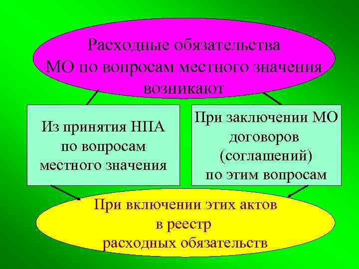 Расходные обязательства МО по вопросам местного значения возникают Из принятия НПА по вопросам местного