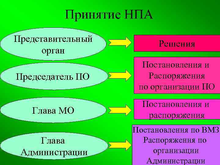 Принятие НПА Представительный орган Решения Председатель ПО Постановления и Распоряжения по организации ПО Глава