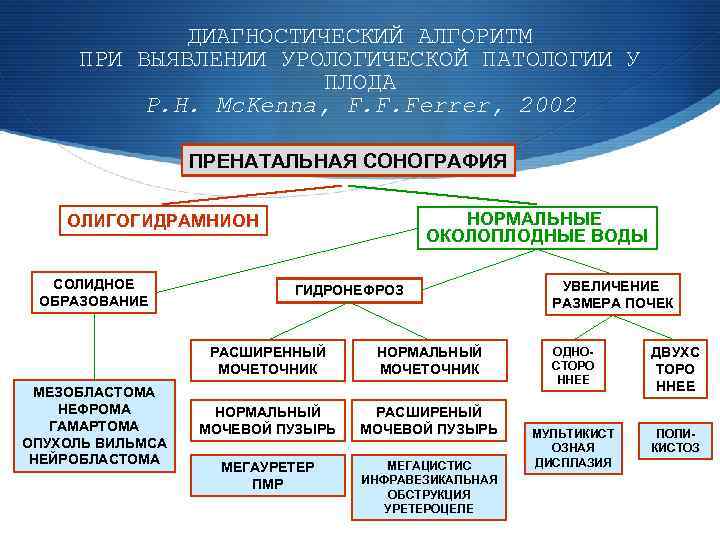 ДИАГНОСТИЧЕСКИЙ АЛГОРИТМ ПРИ ВЫЯВЛЕНИИ УРОЛОГИЧЕСКОЙ ПАТОЛОГИИ У ПЛОДА P. H. Mc. Kenna, F. F.