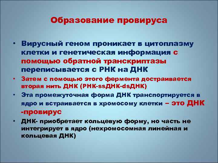 Образование провируса • Вирусный геном проникает в цитоплазму клетки и генетическая информация с помощью