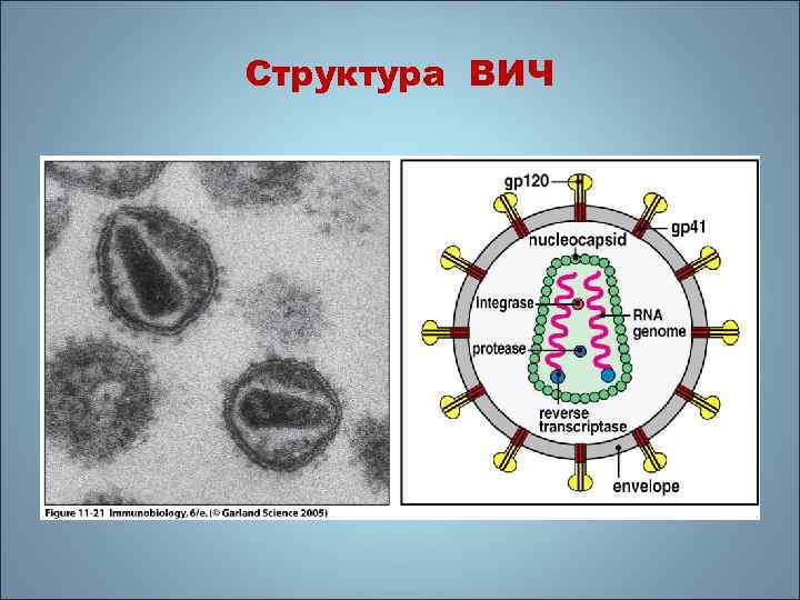 Вич инфекция стадия 4б фаза прогрессирования на фоне арвт