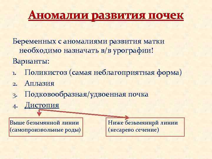 Аномалии развития почек Беременных с аномалиями развития матки необходимо назначать в/в урографии! Варианты: 1.