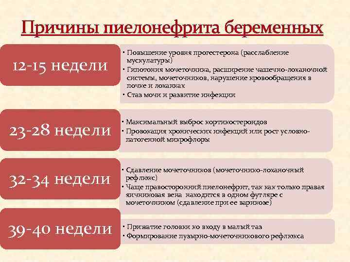 Причины пиелонефрита беременных 12 -15 недели • Повышение уровня прогестерона (расслабление мускулатуры) • Гипотония