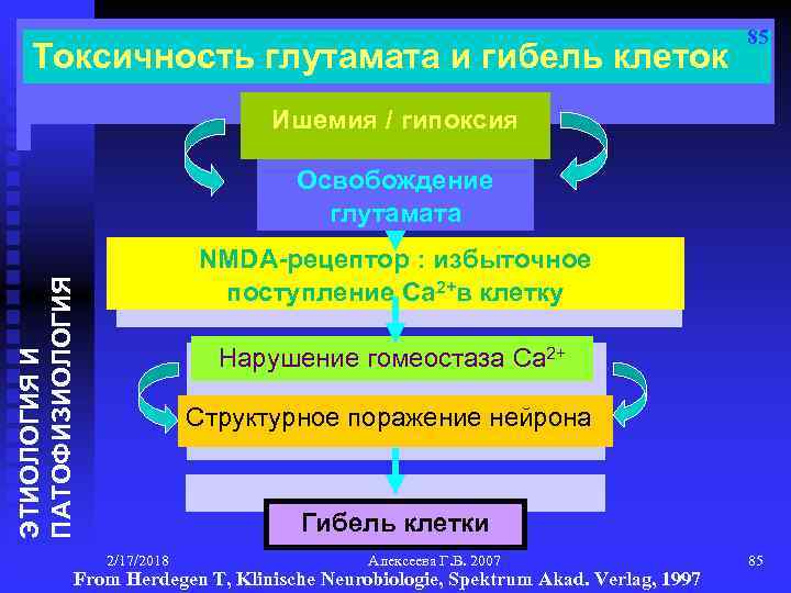 Токсичность глутамата и гибель клеток 85 Ишемия / гипоксия Освобождение глутамата ЭТИОЛОГИЯ И ПАТОФИЗИОЛОГИЯ