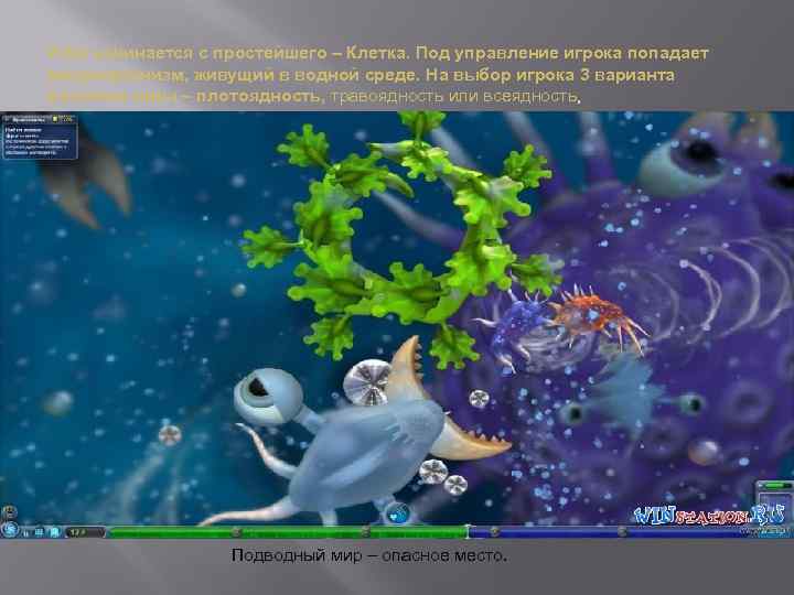 Игра начинается с простейшего – Клетка. Под управление игрока попадает микроорганизм, живущий в водной