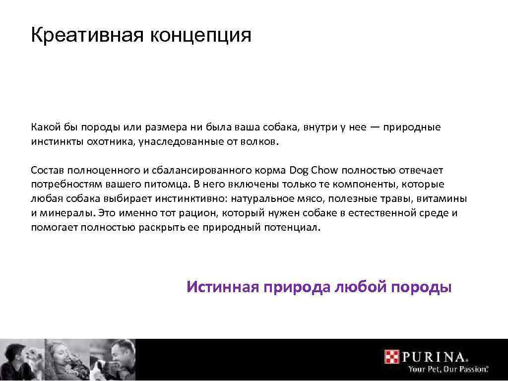 Креативная концепция Какой бы породы или размера ни была ваша собака, внутри у нее