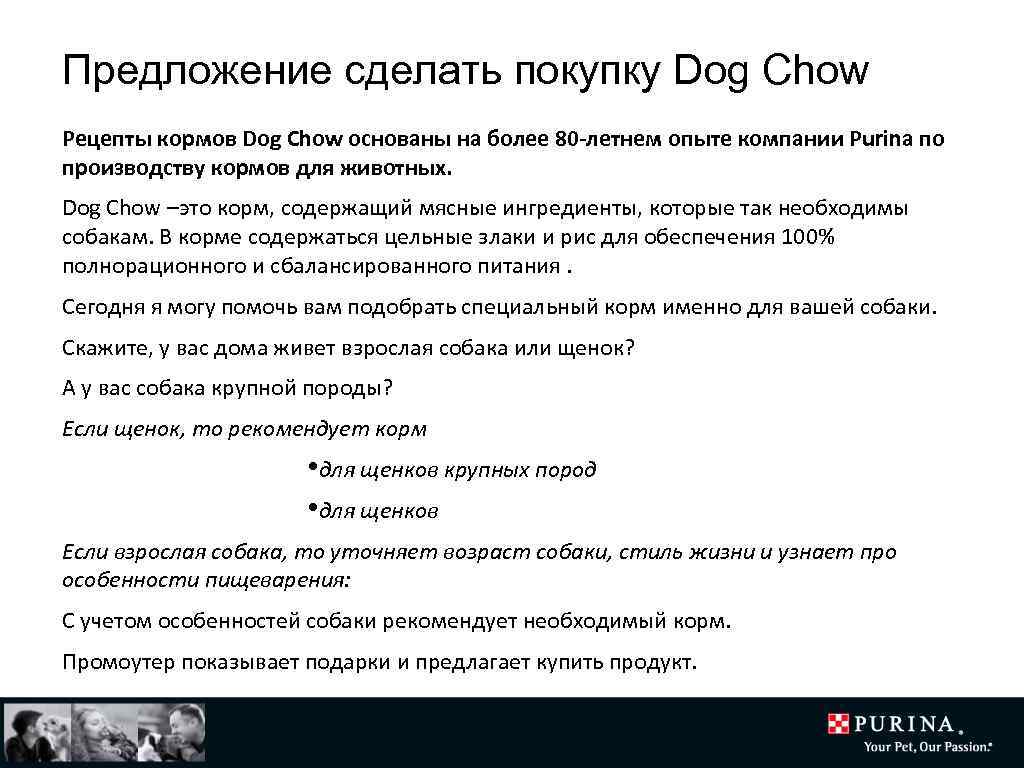 Предложение сделать покупку Dog Chow Рецепты кормов Dog Chow основаны на более 80 -летнем