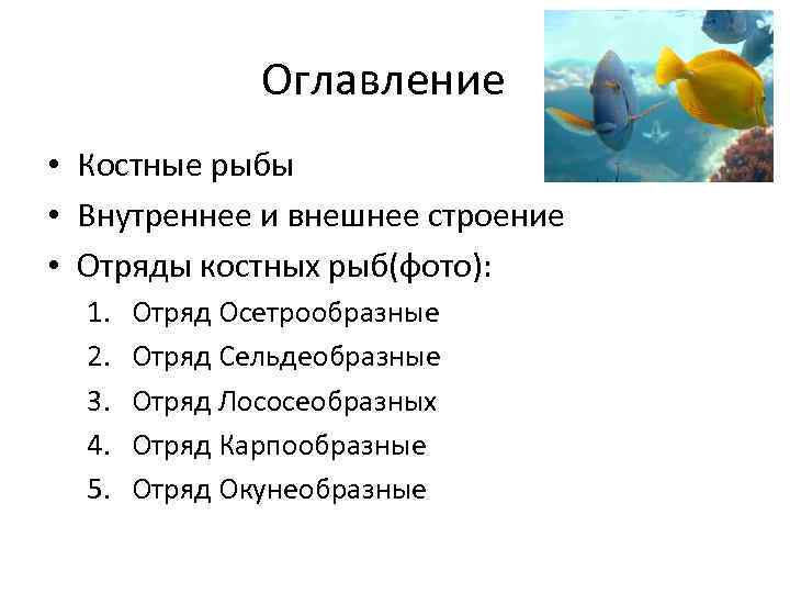 Класс костные рыбы 7 класс. Семейства костных рыб таблица. Внешнее строение костных рыб. Класс костные рыбы отряды. Костные рыбы презентация.