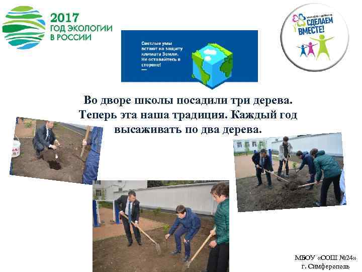 Во дворе школы посадили три дерева. Теперь эта наша традиция. Каждый год высаживать по