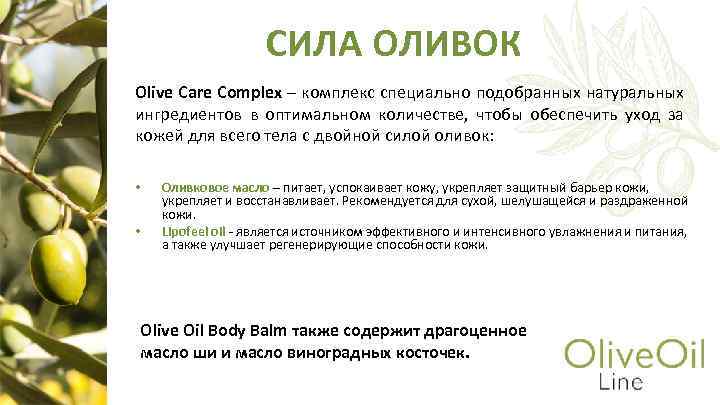 СИЛА ОЛИВОК Olive Care Complex – комплекс специально подобранных натуральных ингредиентов в оптимальном количестве,