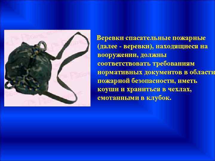 Веревки спасательные пожарные (далее - веревки), находящиеся на вооружении, должны соответствовать требованиям нормативных документов