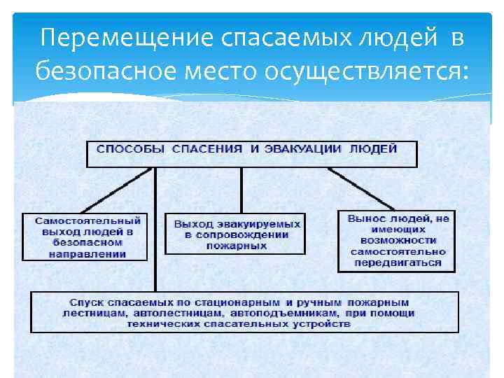 Осуществляемые движения