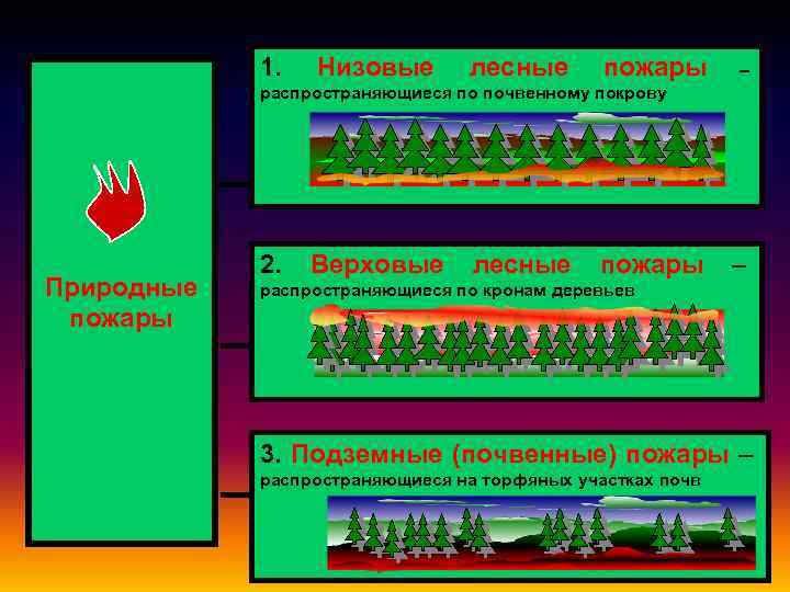 1. Низовые лесные пожары – распространяющиеся по почвенному покрову Природные пожары 2. Верховые лесные