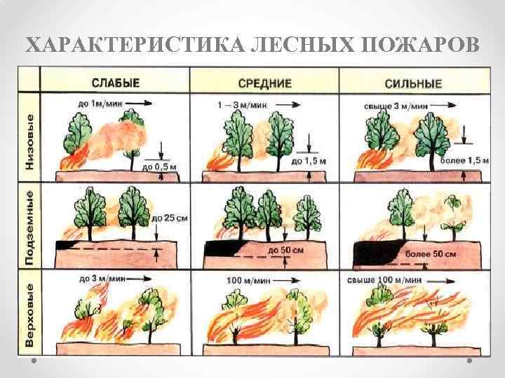 ХАРАКТЕРИСТИКА ЛЕСНЫХ ПОЖАРОВ 