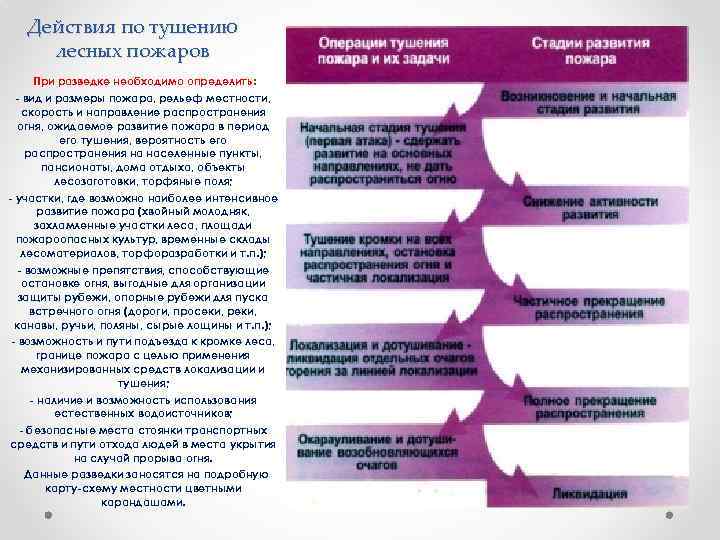 Действия по тушению лесных пожаров При разведке необходимо определить: - вид и размеры пожара,