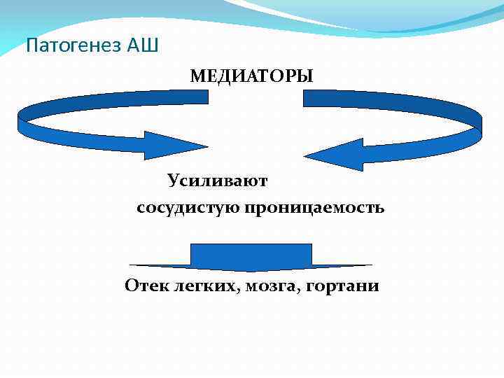 Патогенез АШ МЕДИАТОРЫ Усиливают сосудистую проницаемость Отек легких, мозга, гортани 
