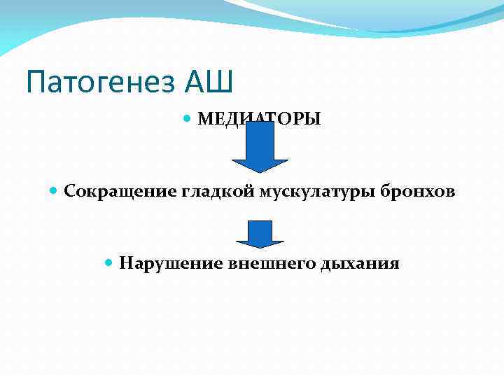 Патогенез АШ МЕДИАТОРЫ Сокращение гладкой мускулатуры бронхов Нарушение внешнего дыхания 