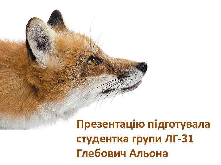 Презентацію підготувала студентка групи ЛГ-31 Глебович Альона 