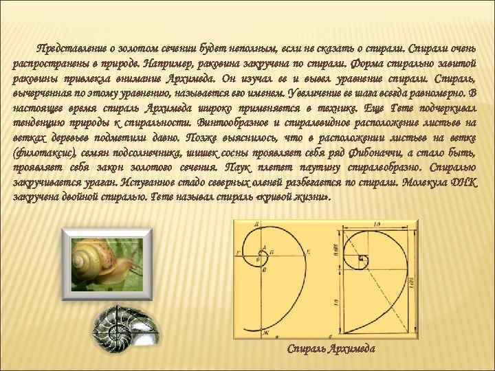 Представление о золотом сечении будет неполным, если не сказать о спирали. Спирали очень распространены