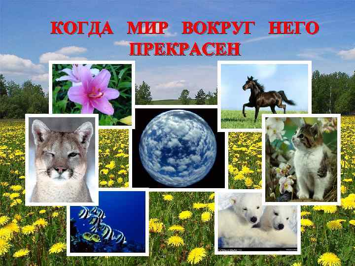 КОГДА МИР ВОКРУГ НЕГО ПРЕКРАСЕН 