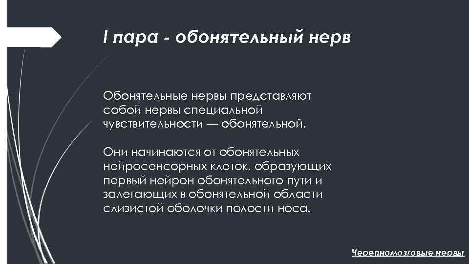 I пара - обонятельный нерв Обонятельные нервы представляют собой нервы специальной чувствительности — обонятельной.