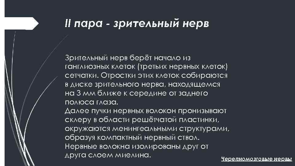 II пара - зрительный нерв Зрительный нерв берёт начало из ганглиозных клеток (третьих нервных