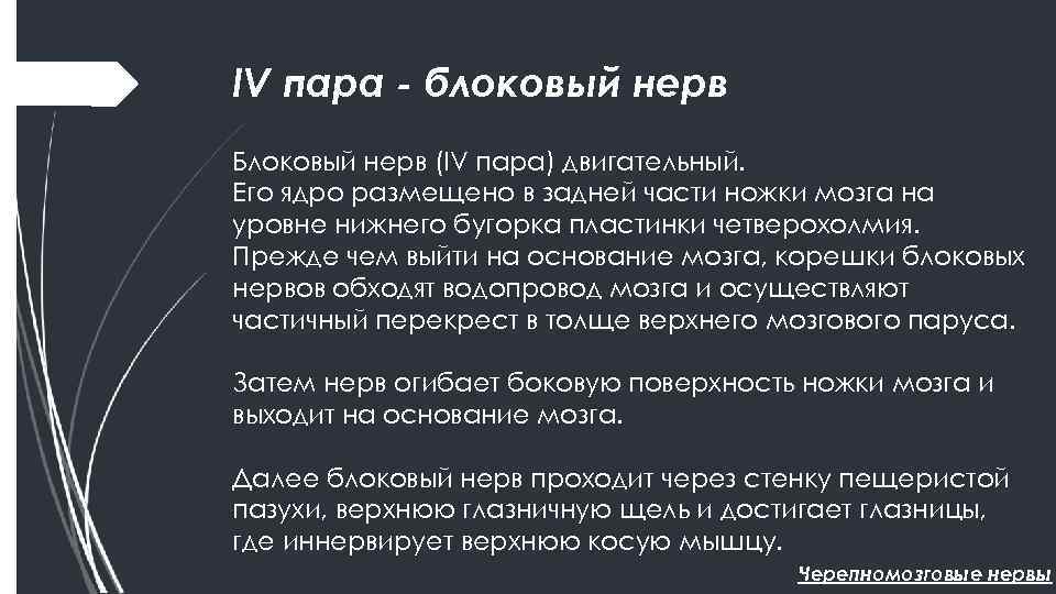 IV пара - блоковый нерв Блоковый нерв (IV пара) двигательный. Его ядро размещено в