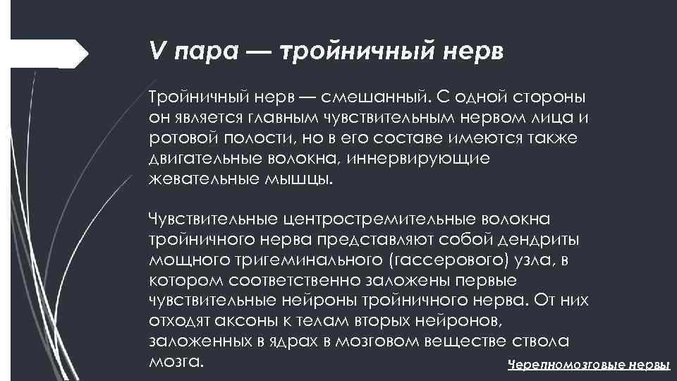 V пара — тройничный нерв Тройничный нерв — смешанный. С одной стороны он является