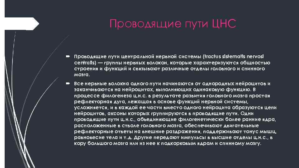 Проводящие пути ЦНС Проводящие пути центральной нервной системы (tractus sistematis nervosi centralis) — группы