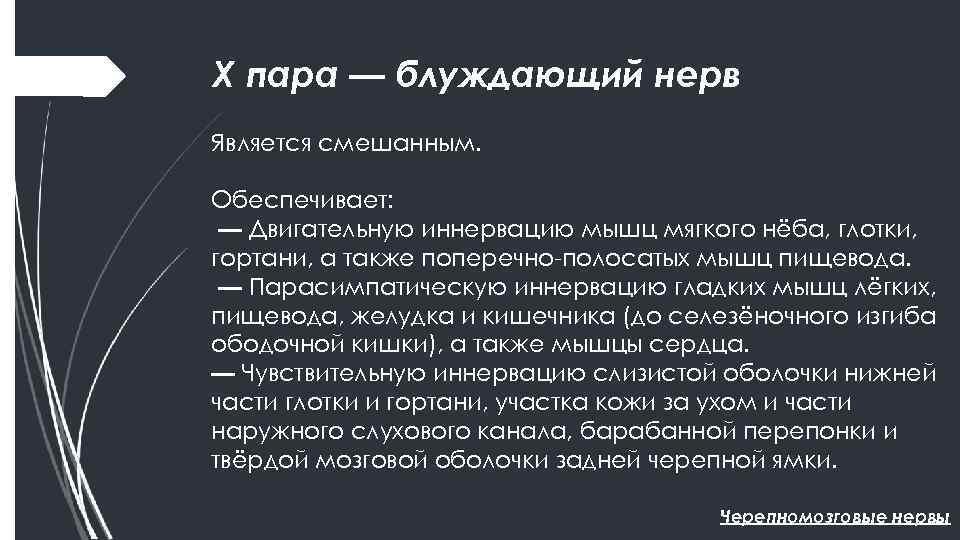 Х пара — блуждающий нерв Является смешанным. Обеспечивает: — Двигательную иннервацию мышц мягкого нёба,