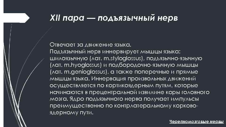 XII пара — подъязычный нерв Отвечает за движение языка. Подъязычный нерв иннервирует мышцы языка: