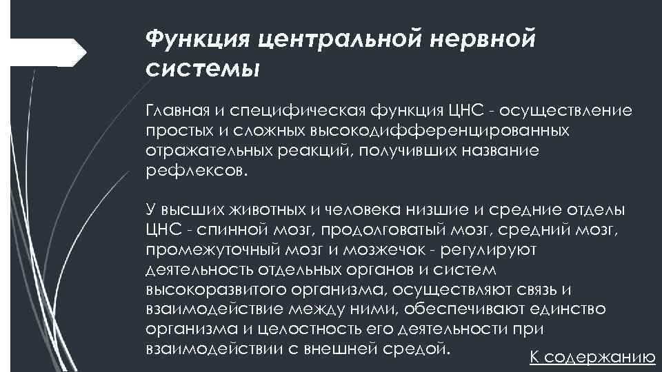 Функция центральной нервной системы Главная и специфическая функция ЦНС осуществление простых и сложных высокодифференцированных