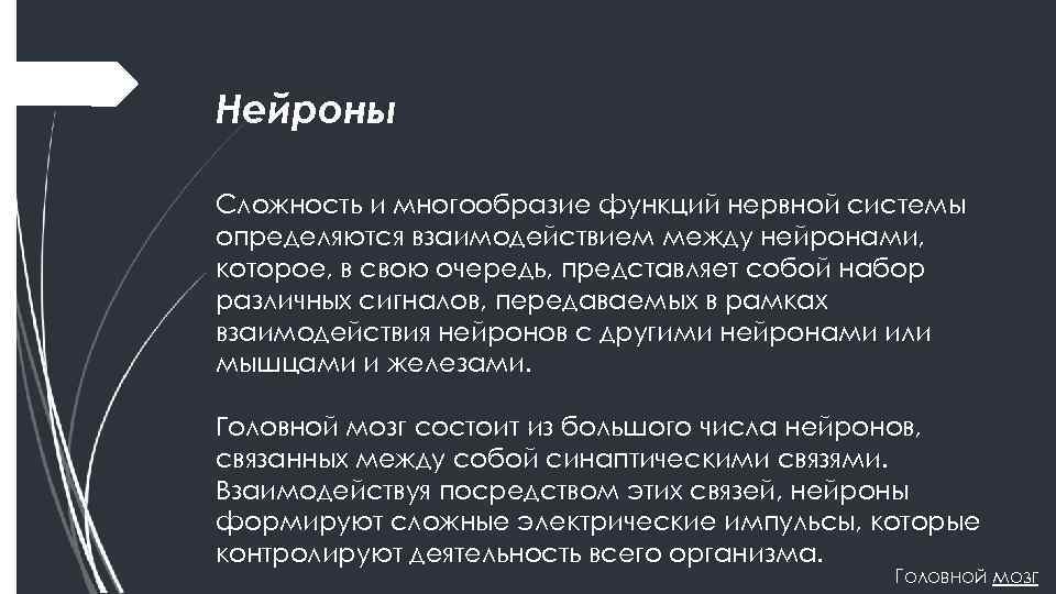 Нейроны Сложность и многообразие функций нервной системы определяются взаимодействием между нейронами, которое, в свою