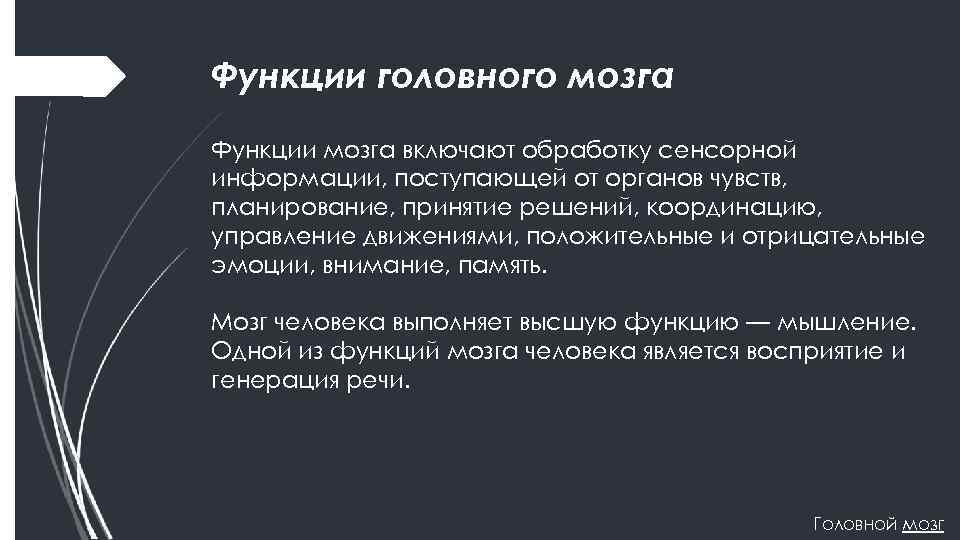 Функции головного мозга Функции мозга включают обработку сенсорной информации, поступающей от органов чувств, планирование,