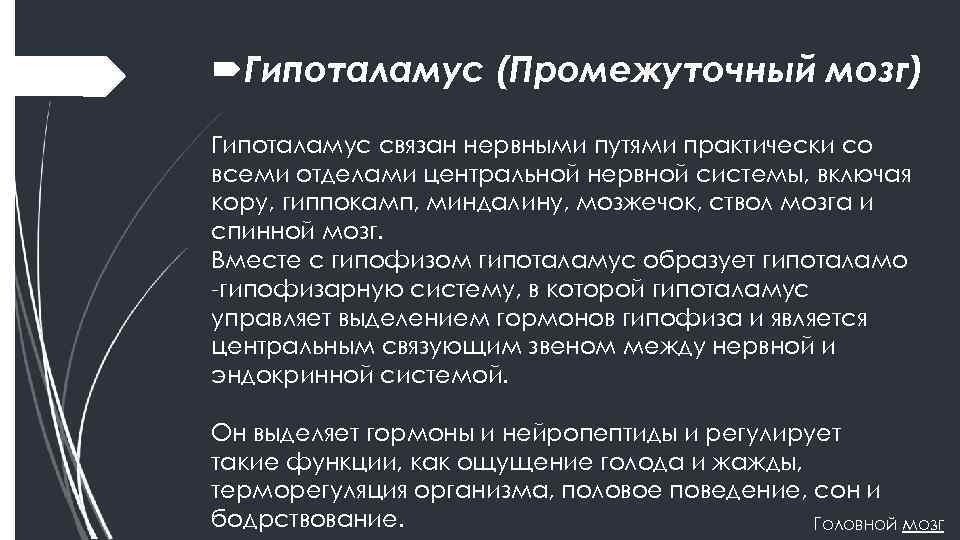  Гипоталамус (Промежуточный мозг) Гипоталамус связан нервными путями практически со всеми отделами центральной нервной