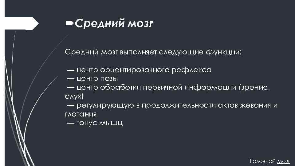  Средний мозг выполняет следующие функции: — центр ориентировочного рефлекса — центр позы —