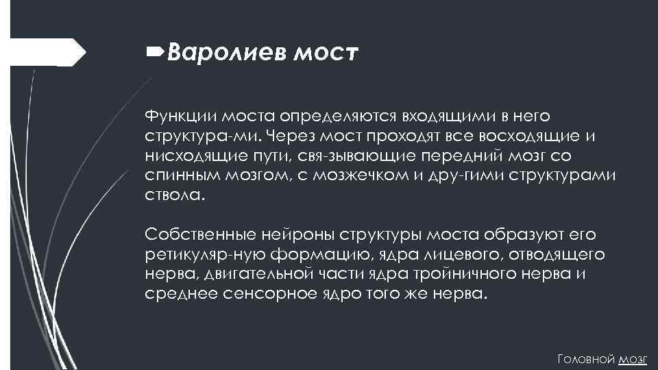  Варолиев мост Функции моста определяются входящими в него структура ми. Через мост проходят