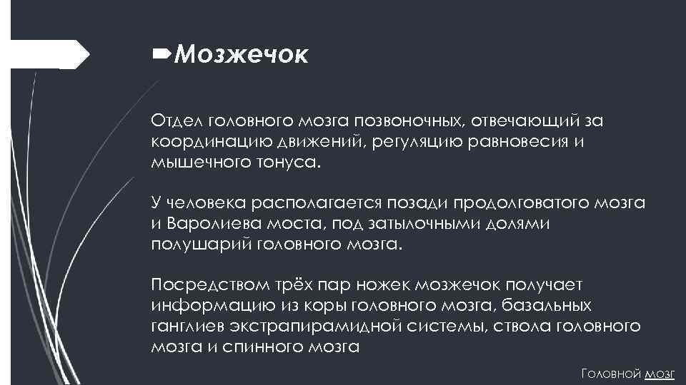  Мозжечок Отдел головного мозга позвоночных, отвечающий за координацию движений, регуляцию равновесия и мышечного