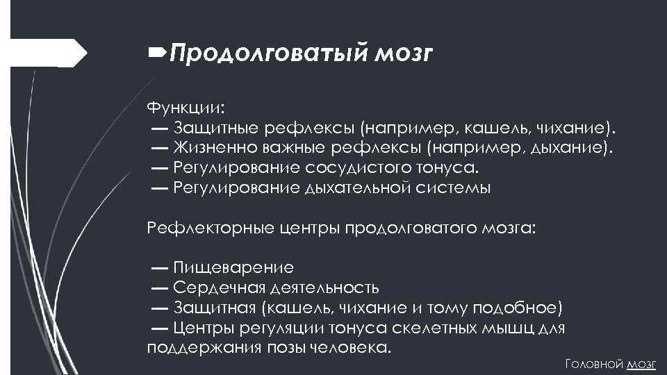  Продолговатый мозг Функции: — Защитные рефлексы (например, кашель, чихание). — Жизненно важные рефлексы