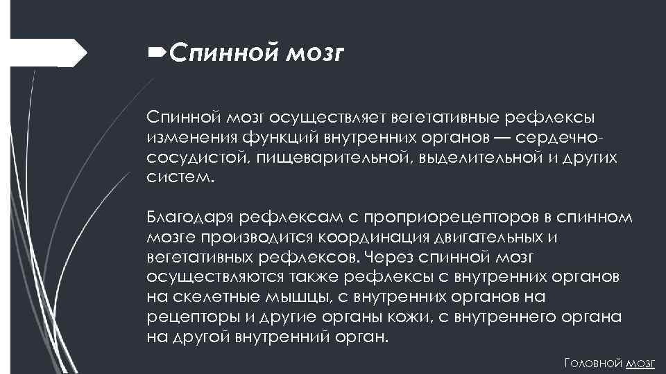  Спинной мозг осуществляет вегетативные рефлексы изменения функций внутренних органов — сердечно сосудистой, пищеварительной,