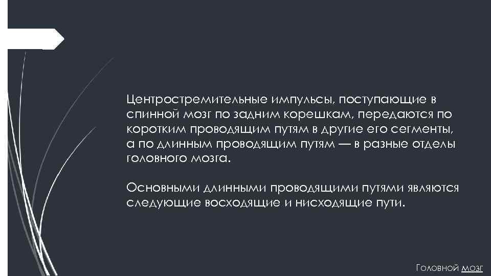 Центростремительные импульсы, поступающие в спинной мозг по задним корешкам, передаются по коротким проводящим путям