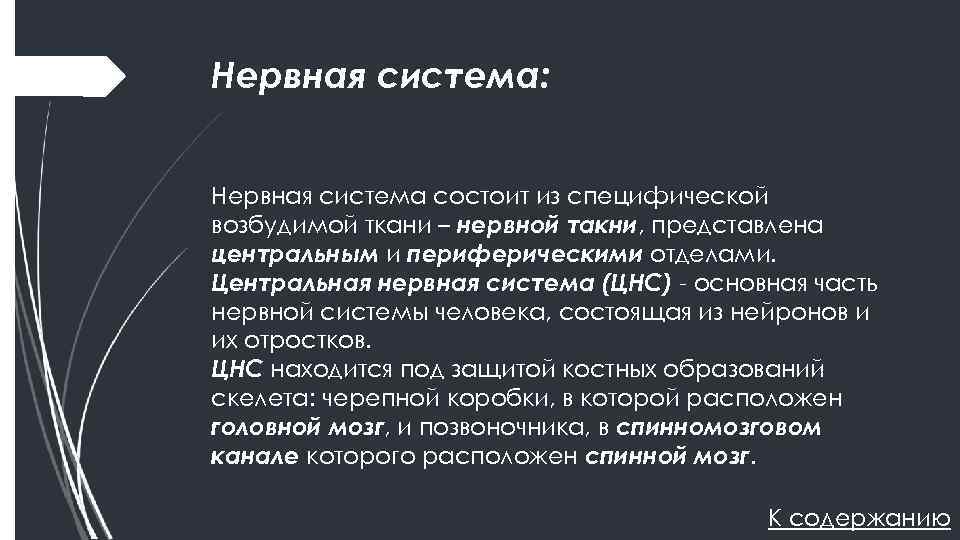 Нервная система: Нервная система состоит из специфической возбудимой ткани – нервной такни, представлена центральным