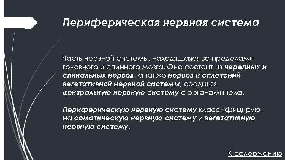 Периферическая нервная система Часть нервной системы, находящаяся за пределами головного и спинного мозга. Она