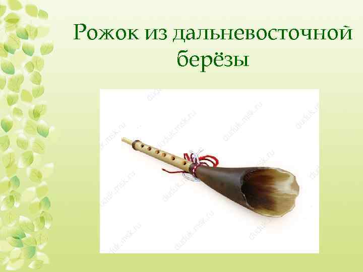 Рожок из дальневосточной берёзы 