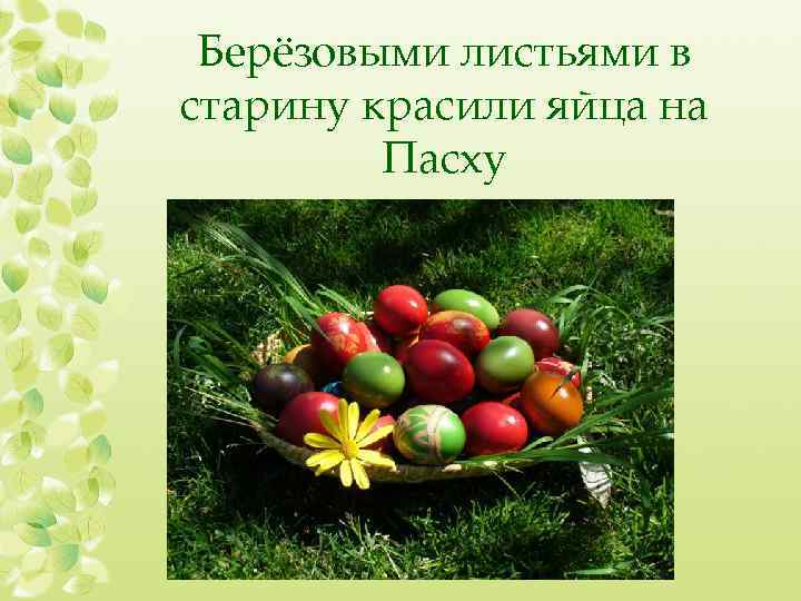 Берёзовыми листьями в старину красили яйца на Пасху 