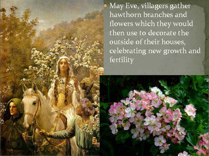  May Eve, villagers gather hawthorn branches and flowers which they would then use