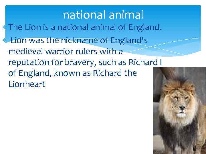 national animal The Lion is a national animal of England. Lion was the nickname