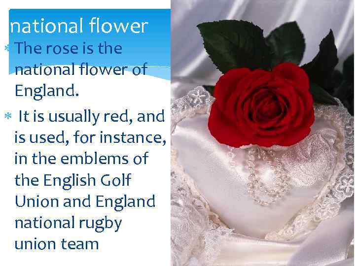 national flower The rose is the national flower of England. It is usually red,