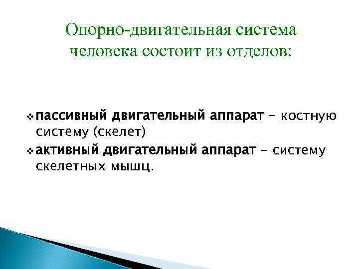 Опорно-двигательная система человека состоит из отделов: v пассивный двигательный аппарат - костную систему (скелет)